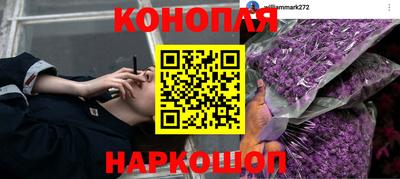 СК Кандалакша