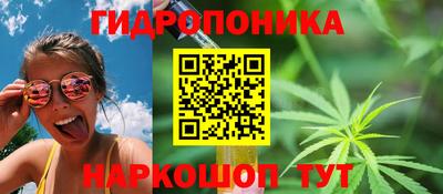 ПСИЛОЦИБИНОВЫЕ ГРИБЫ Камышлов