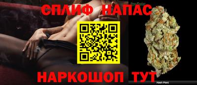 ПСИЛОЦИБИНОВЫЕ ГРИБЫ Камышлов