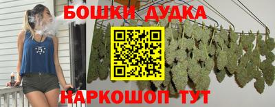 СК Кандалакша
