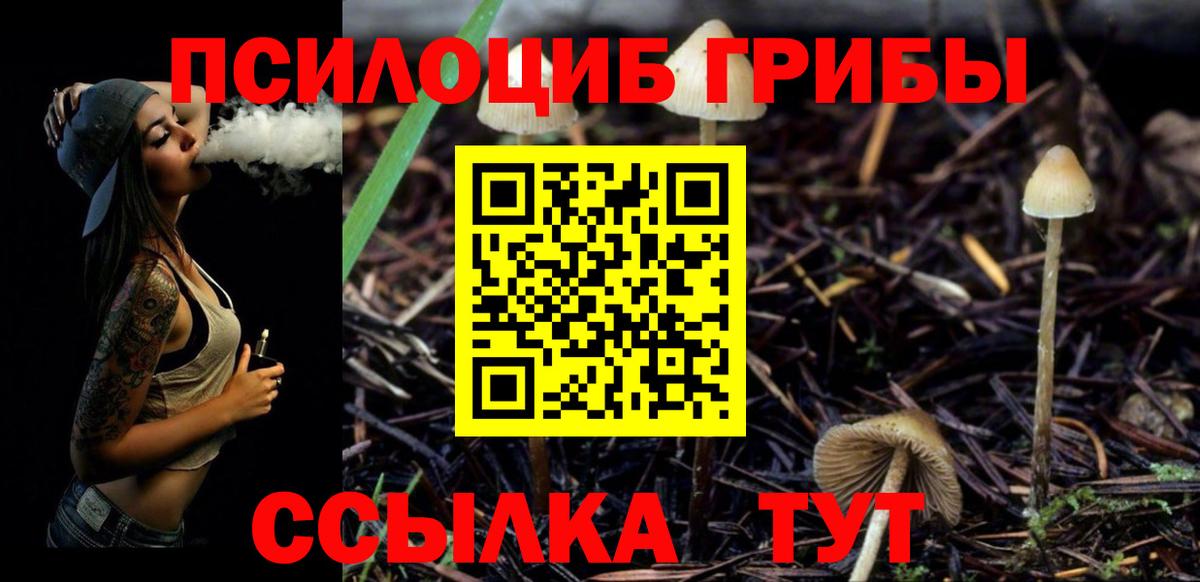 Псилоцибиновые грибы ЛСД  Псилоцибиновые грибы мицелий  Чехов  Вход с VPN 