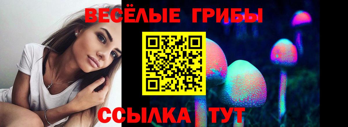 Меф МЯУ МЯУ кристаллы  ЭКСТАЗИ  Чехов  АМФЕТАМИН   Cocaine  ГАШИШ  Марихуана  ГАШ  A-PVP СК кристаллы  Вход с VPN 