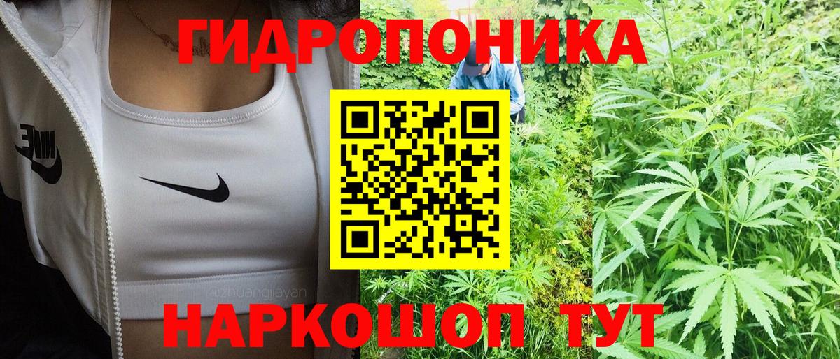 Каннабис конопля  МАРИХУАНА семена  Конопля сатива  Чехов  Вход с VPN  Каннабис гибрид 